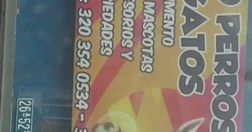 COMO PERROS Y GATOS BOGOTÁ COMO PERROS Y GATOS BOGOTÁ